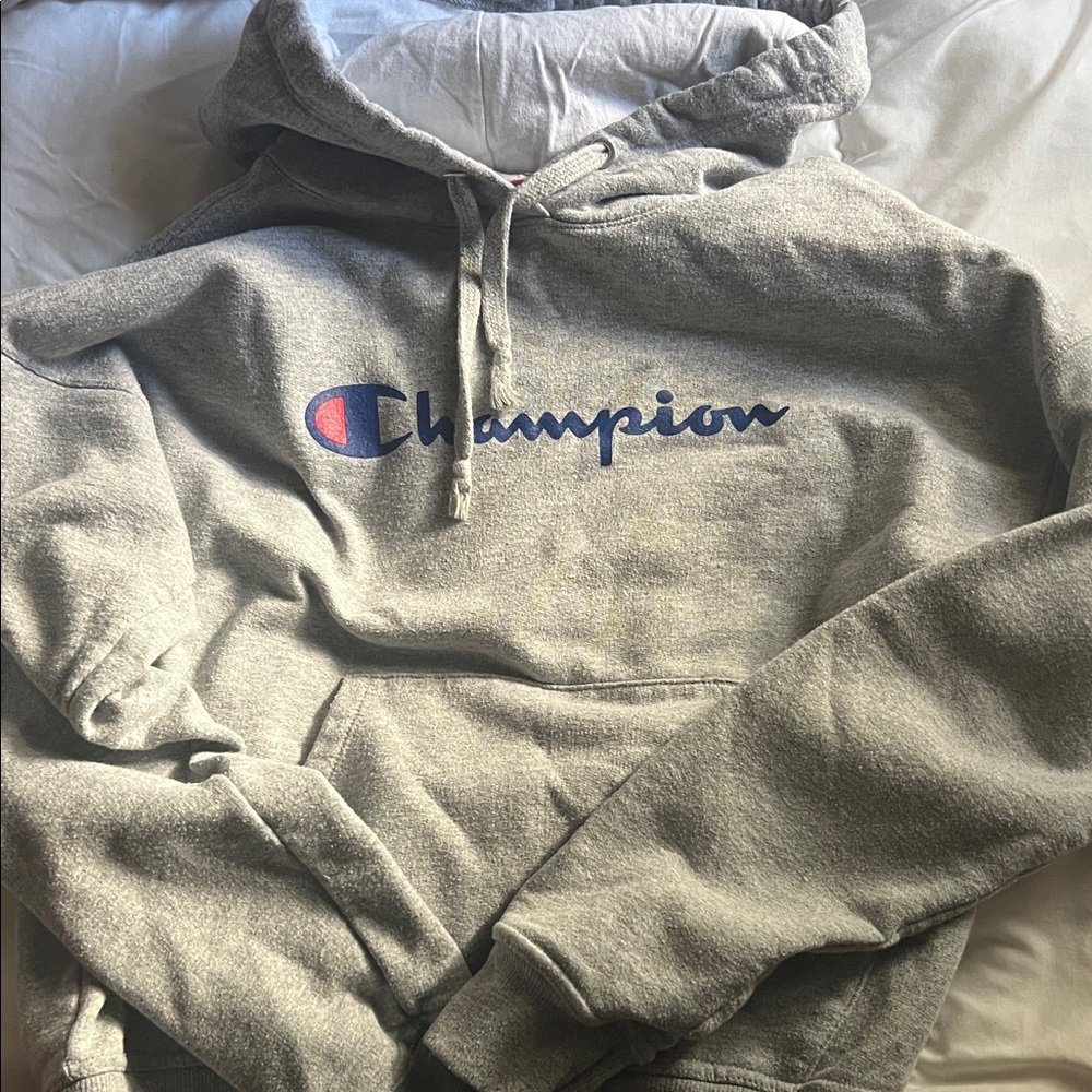 Champion Gray Hoodie